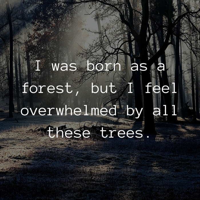 tree forest introvert quote