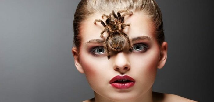 woman with tarantula on her face