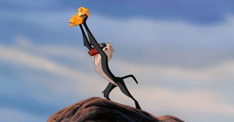 circle of life