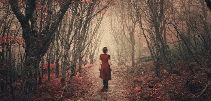 woman walking in misty woods