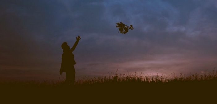 silhouette of person throwing flowers into the sky, thus letting go of the past