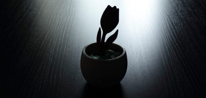 silhouette of single tulip in pot on empty table