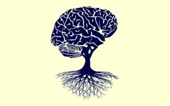 tree shaped like brain to signify a growth mindset