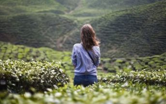 lonely young woman in green crop field