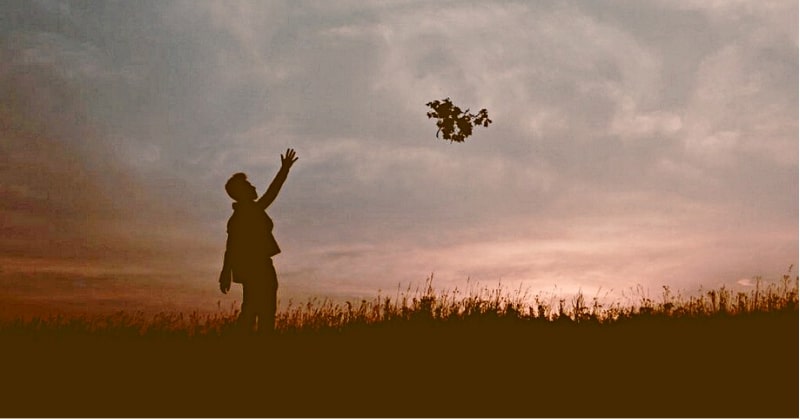 silhouette of person throwing flowers into the sky, thus letting go of the past