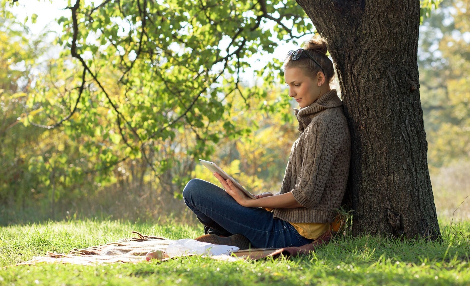 woman sitting under a tree looking at her tablet computer