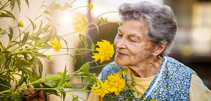 wise elderly woman smelling a flower - illustrating good advice for life
