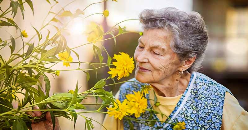 wise elderly woman smelling a flower - illustrating good advice for life