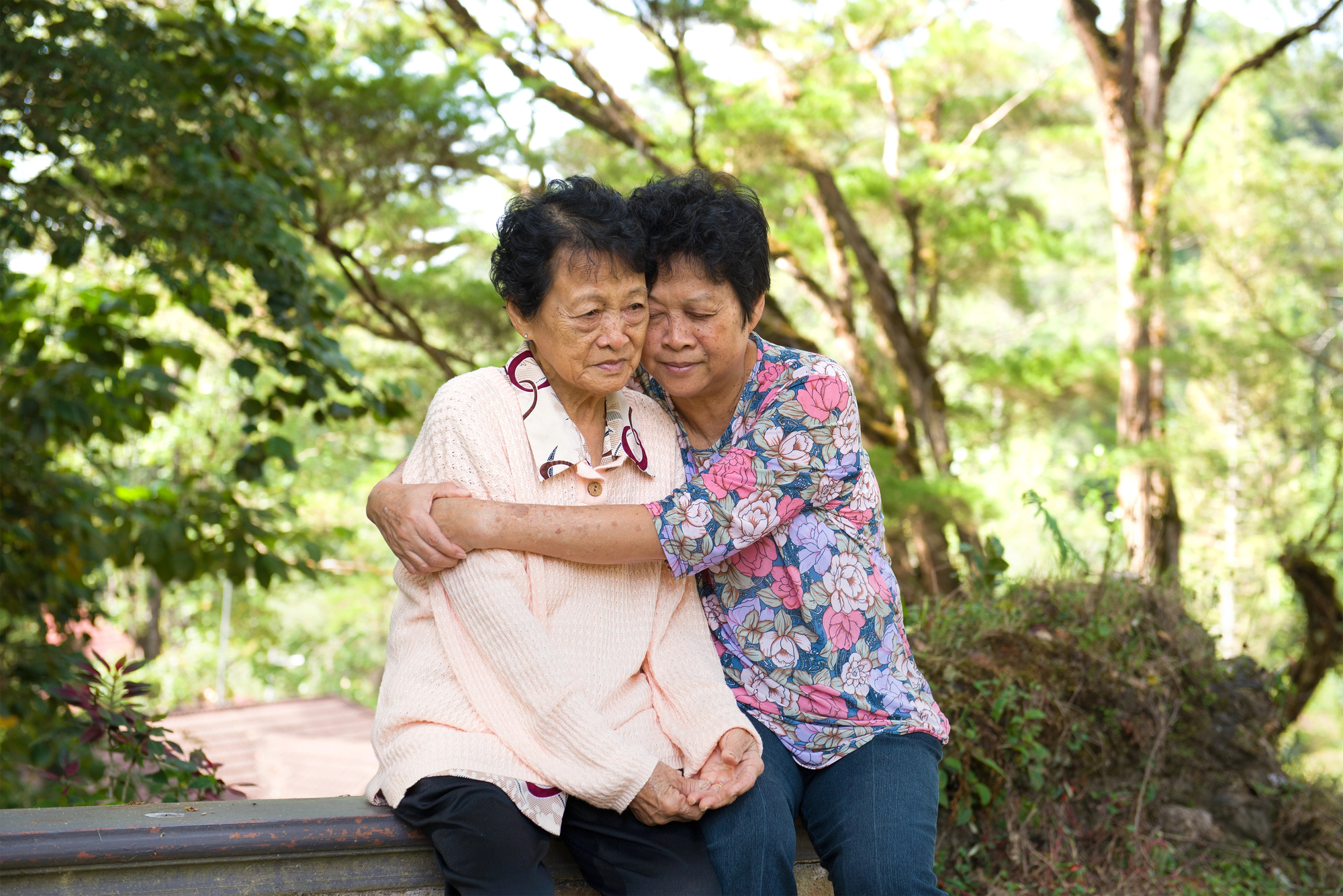 Two elderly women sit outdoors on a wooden bench. One woman, wearing a light pink sweater, looks forward while the other woman, in a floral blouse, lovingly embraces her with closed eyes. They are surrounded by lush green trees, and sunlight filters through the foliage.