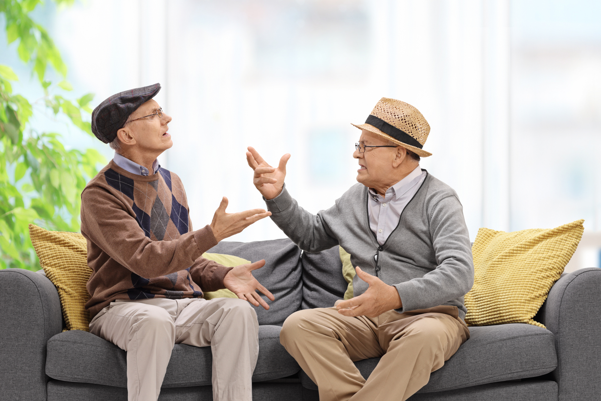 Two older men are sitting on a gray sofa, engaged in a lively conversation. One is wearing a flat cap and an argyle sweater, and the other is wearing a straw hat and a gray cardigan. They appear animated, gesturing with their hands, against a bright background with greenery.