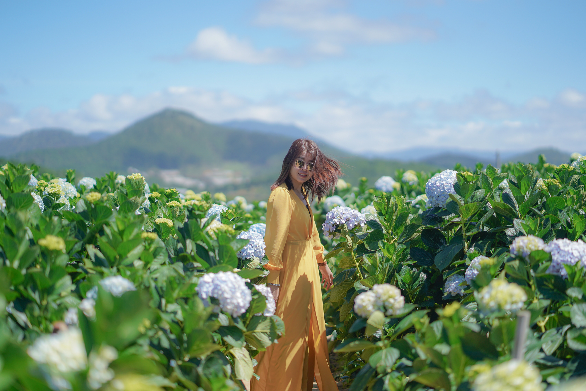 A woman in a yellow dress stands among blooming hydrangea flowers on a sunny day. She is looking at the camera with a relaxed expression, and the background features green hills and a blue sky with some clouds.