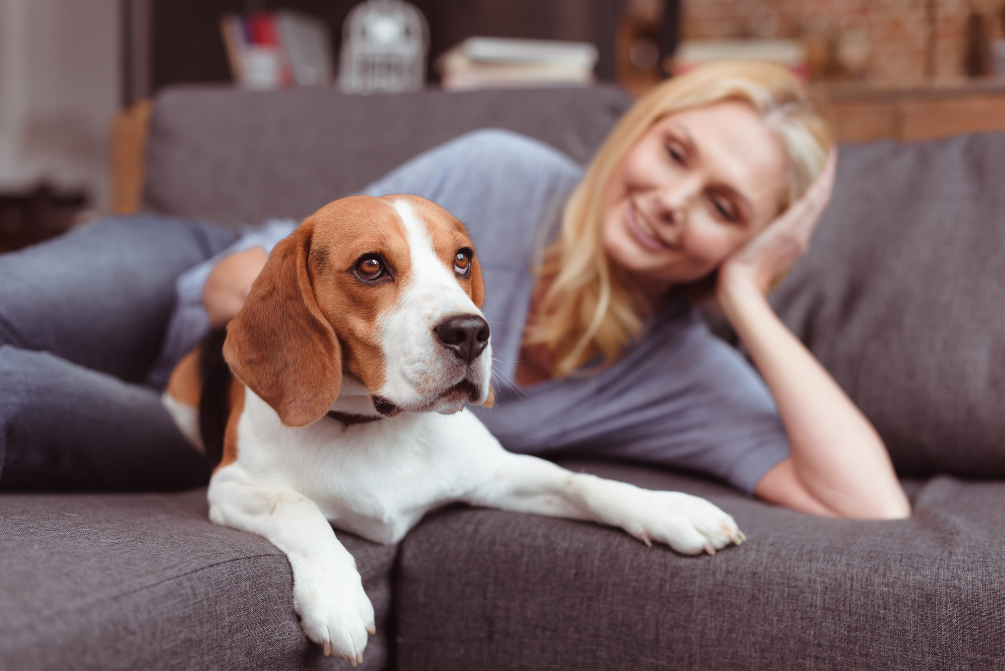 A woman with blonde hair lounges on a gray sofa with her head resting on her hand, smiling at a beagle lying next to her. The room is softly lit, giving a cozy and relaxed atmosphere. Books and decorative items are blurred in the background.