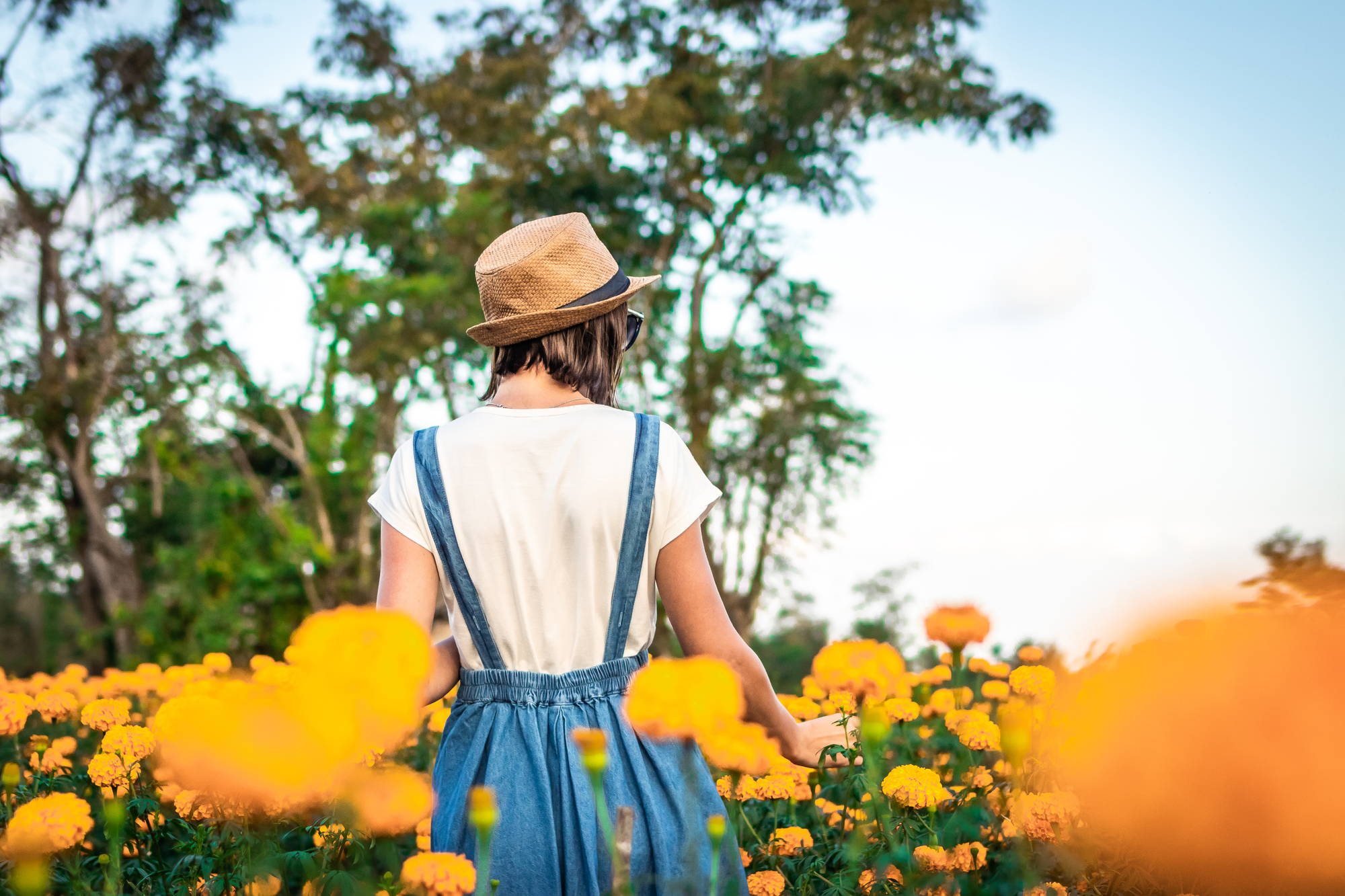 A person wearing a brown hat and denim overalls stands in a field of vibrant yellow flowers, with trees and a blue sky in the background. The person is facing away from the camera, capturing a peaceful, natural scene.