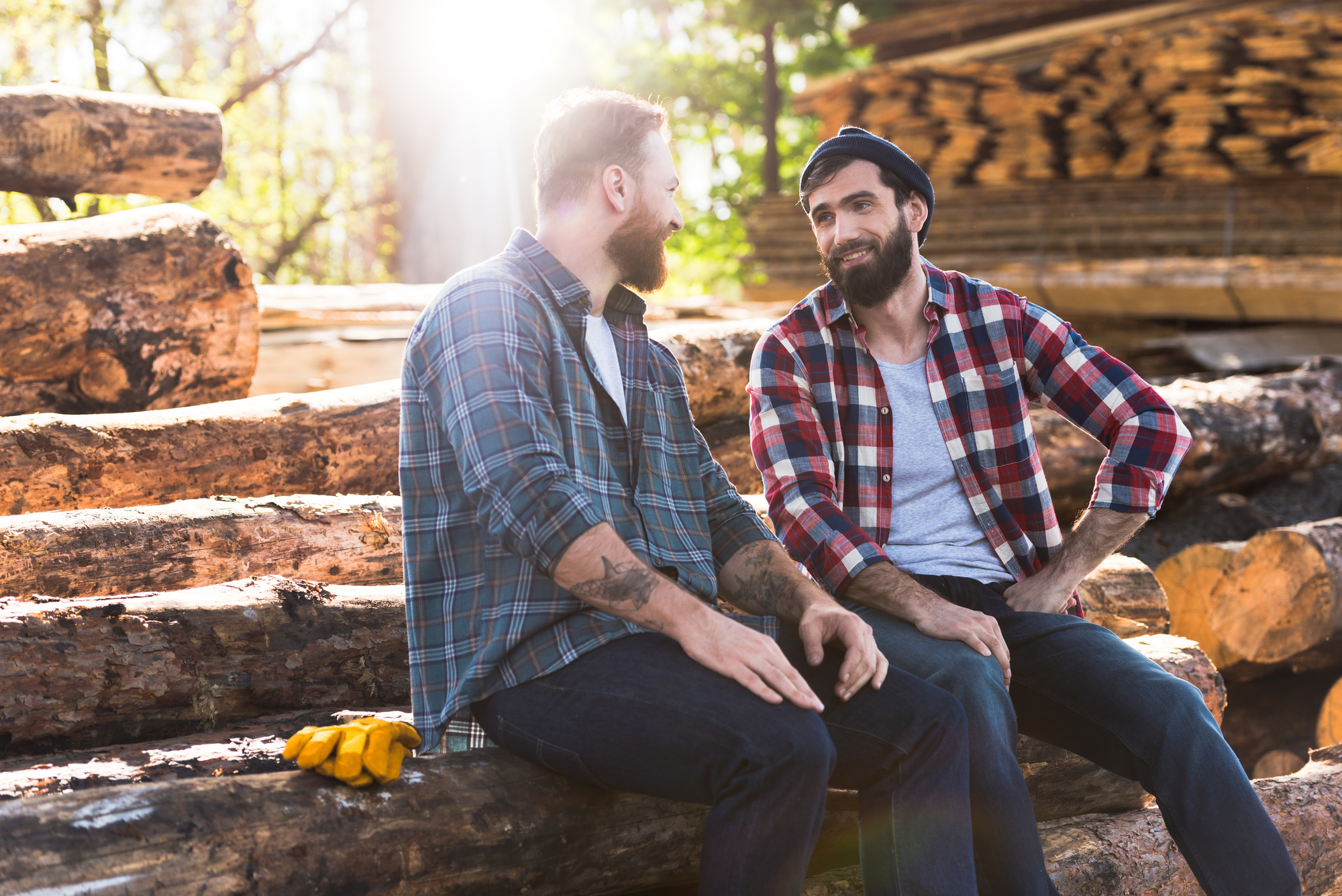 Two bearded men in checkered shirts sitting on logs and talking in a sunny, wooded area. One has yellow work gloves nearby. Both are smiling, creating a friendly atmosphere amid stacks of cut timber in the background.