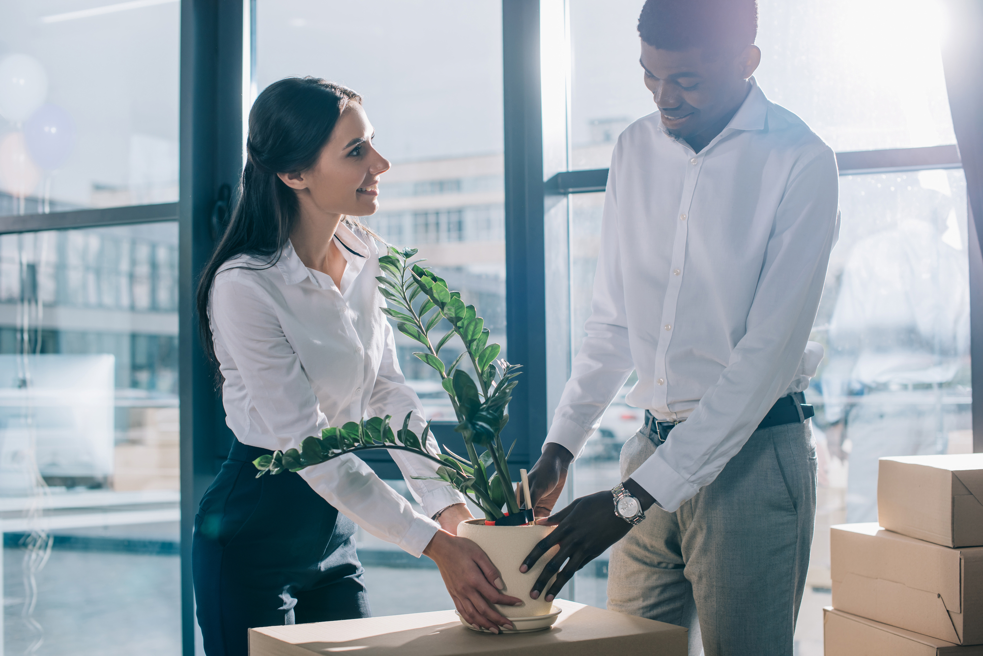 Two office workers, one woman and one man, are smiling and placing a potted plant on a desk. They are dressed in business attire, with the woman in dark pants and a white blouse and the man in dark trousers and a light shirt. Sunlight streams through large windows behind them.