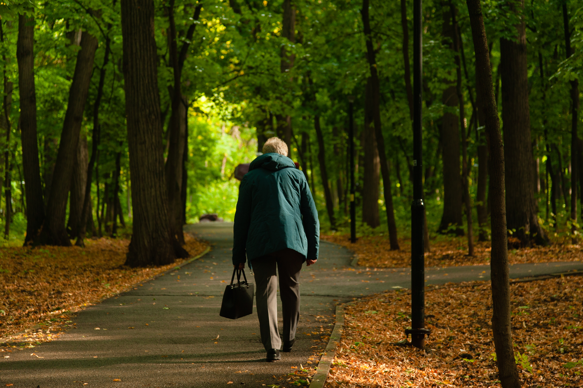 An elderly person walks on a paved path through a serene, green forest. They are wearing a blue jacket and carrying a black bag, with fallen leaves scattered on the ground. Tall trees border the path, creating a peaceful, natural setting.