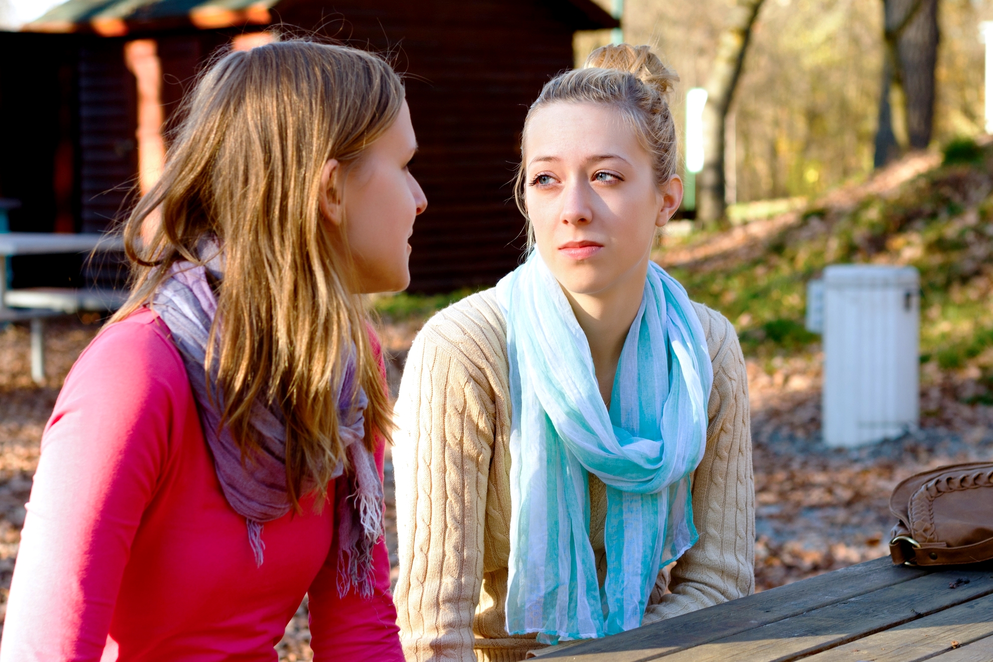 Two young women are sitting at a wooden picnic table outside in a wooded area. One woman with long hair and a pink top is talking, while the other with blonde hair and a blue scarf is listening attentively. Sunlight filters through the trees, casting a warm glow.