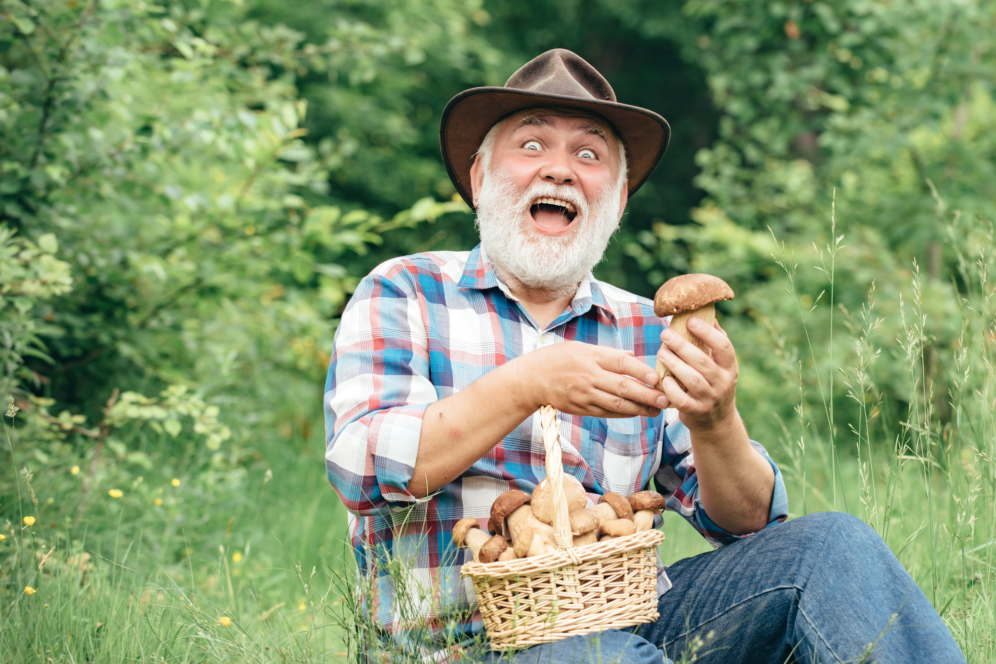 A bearded man wearing a cowboy hat and plaid shirt grins joyfully while holding a mushroom. He sits outdoors on grass amidst greenery, with a basket full of mushrooms resting on his lap. The scene suggests he is excited about his mushroom foraging adventure.