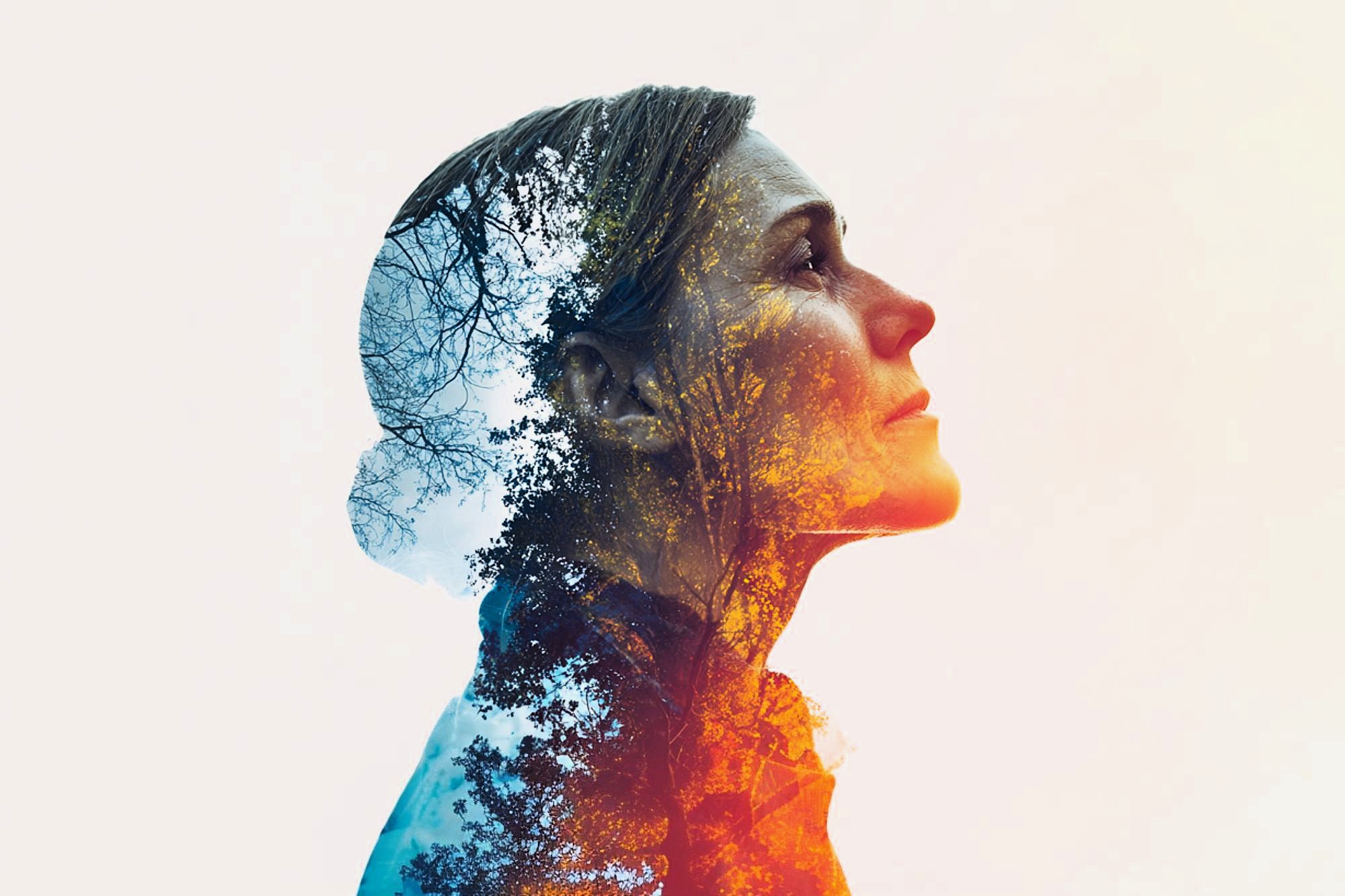 A double exposure image of a woman in profile, looking upward, blended with silhouettes of bare tree branches and warm yellow-orange light, creating a thoughtful and artistic effect.